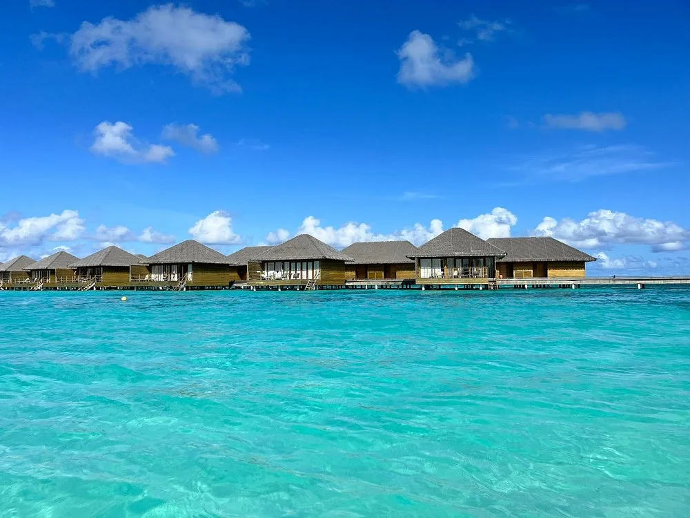 COCOON MALDIVES: Отель и удобства 1