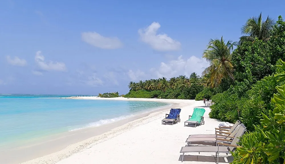 COCOON MALDIVES: Бассейн и пляж 3