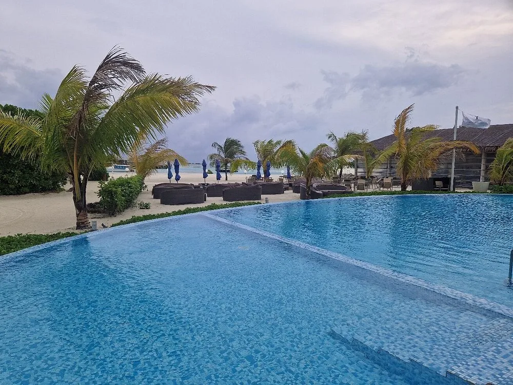 COCOON MALDIVES: Бассейн и пляж 5