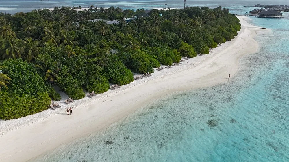 COCOON MALDIVES: Бассейн и пляж 6