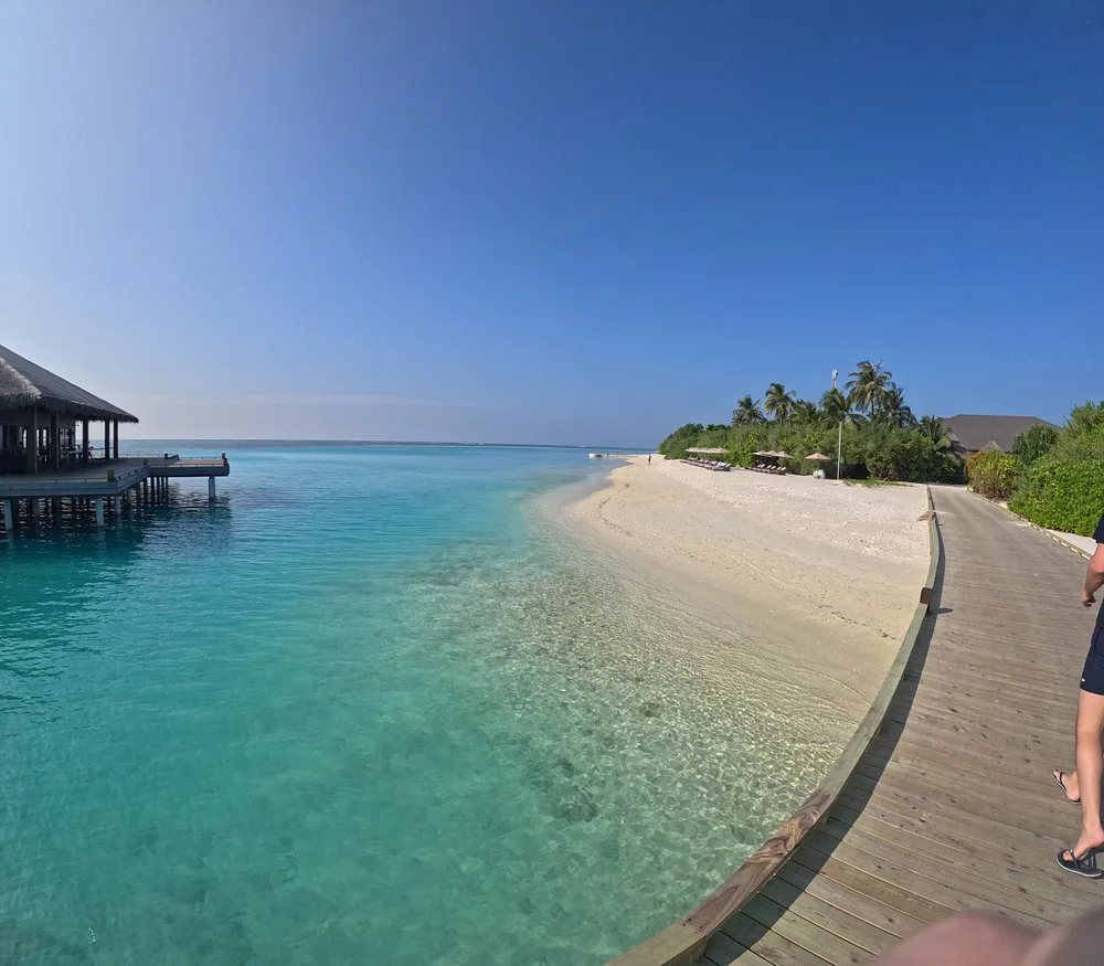 COCOON MALDIVES: Бассейн и пляж 7