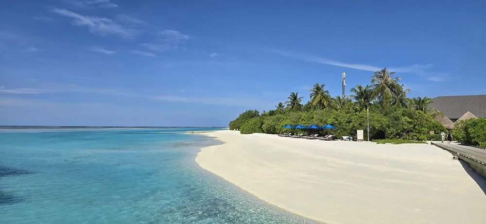 COCOON MALDIVES: Бассейн и пляж 8