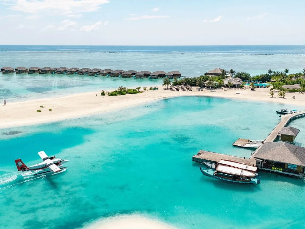 COCOON MALDIVES: Бассейн и пляж 9