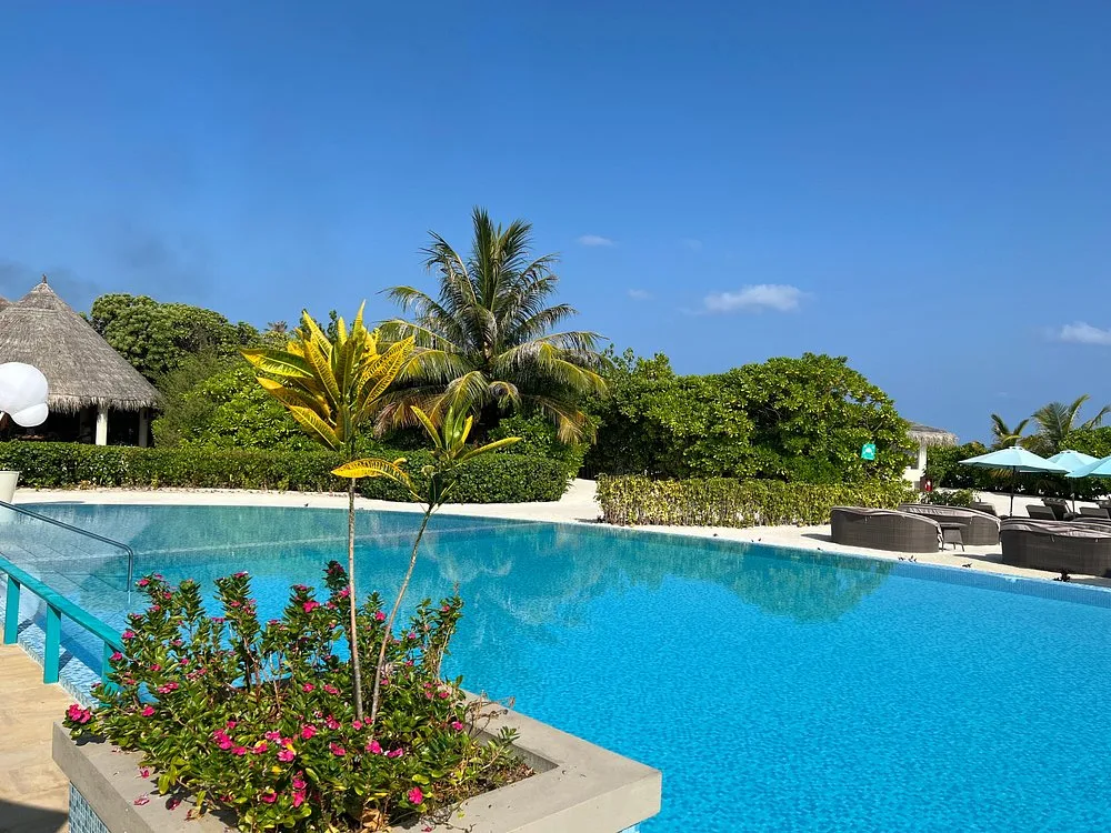 COCOON MALDIVES: Бассейн и пляж 11