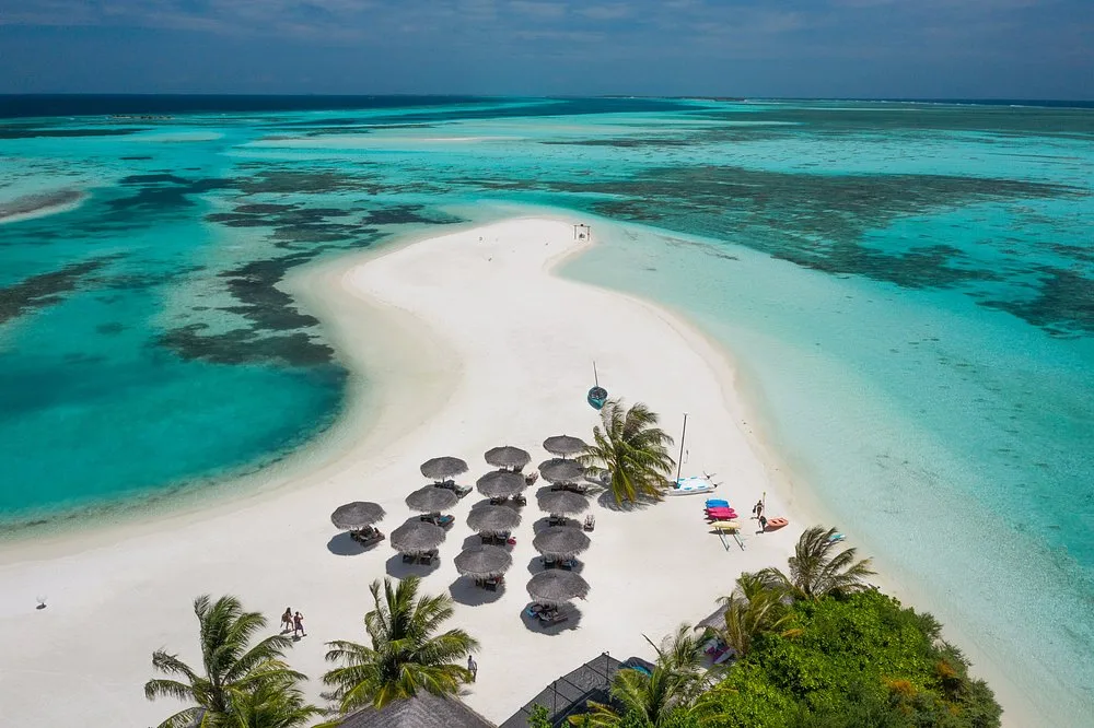 COCOON MALDIVES: Бассейн и пляж 12
