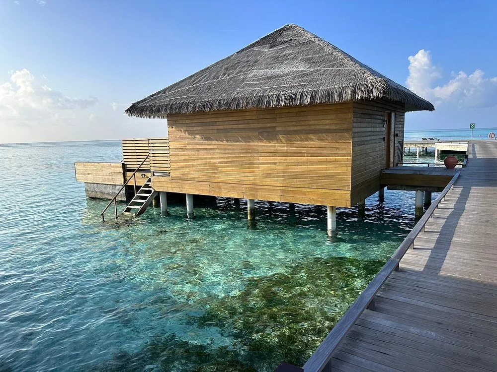 COCOON MALDIVES: Номер 5