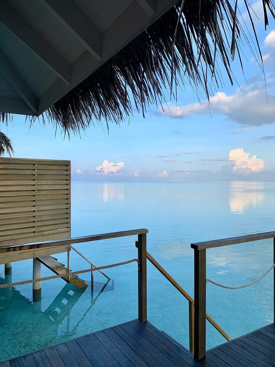 COCOON MALDIVES: Номер 11
